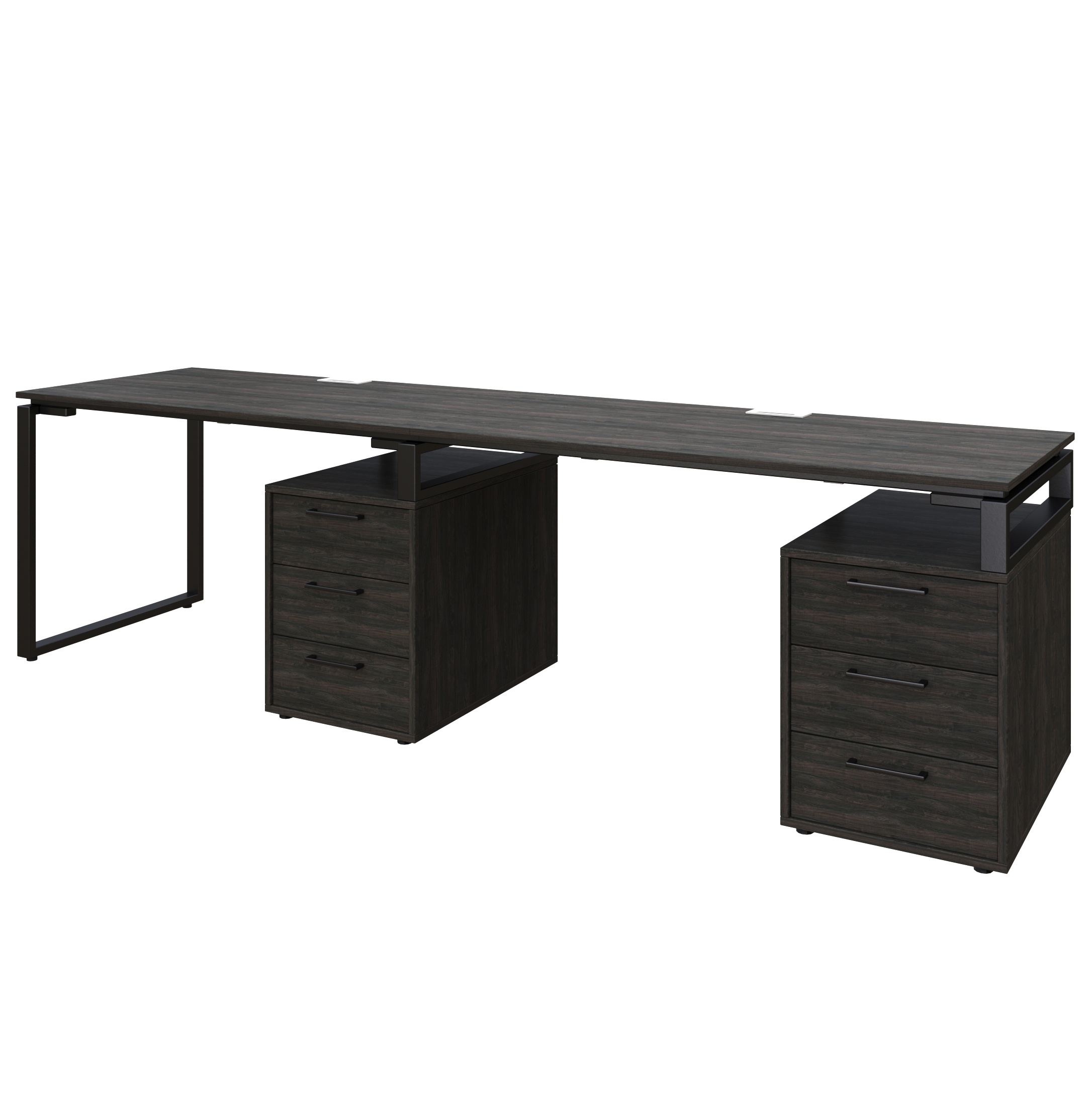 80124Морское_дерево